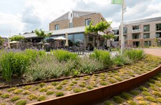 Afbeelding 6 van De Oevelgunne, Gendringen | Nieuwbouw